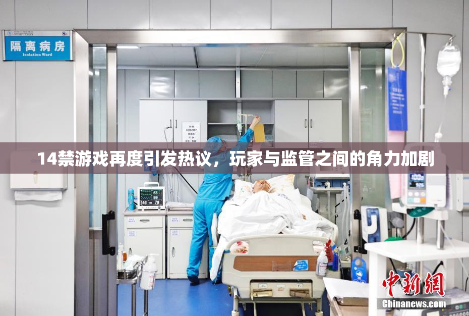 14禁游戏再度引发热议，玩家与监管之间的角力加剧