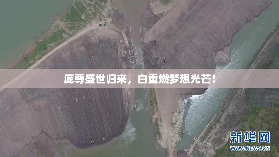 庞尊盛世归来，白重燃梦想光芒！