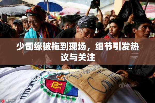 少司缘被拖到现场，细节引发热议与关注