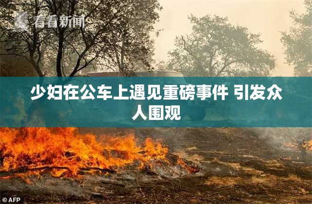 少妇在公车上遇见重磅事件 引发众人围观
