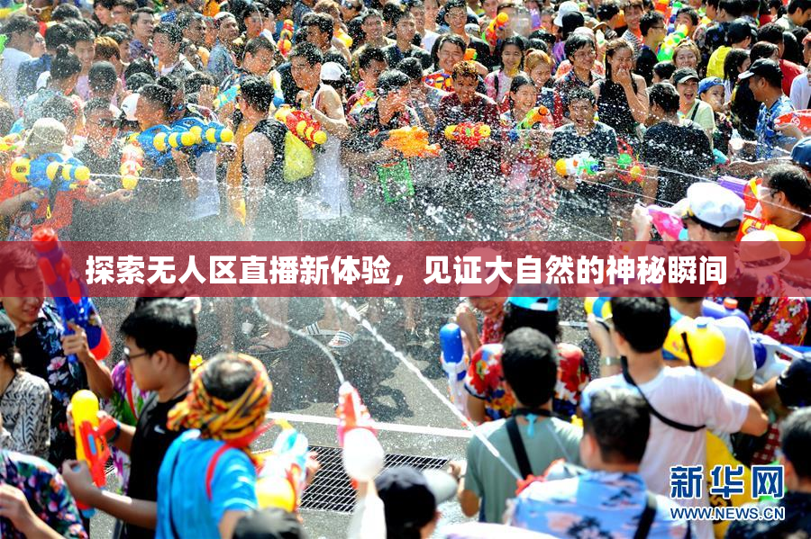 探索无人区直播新体验，见证大自然的神秘瞬间