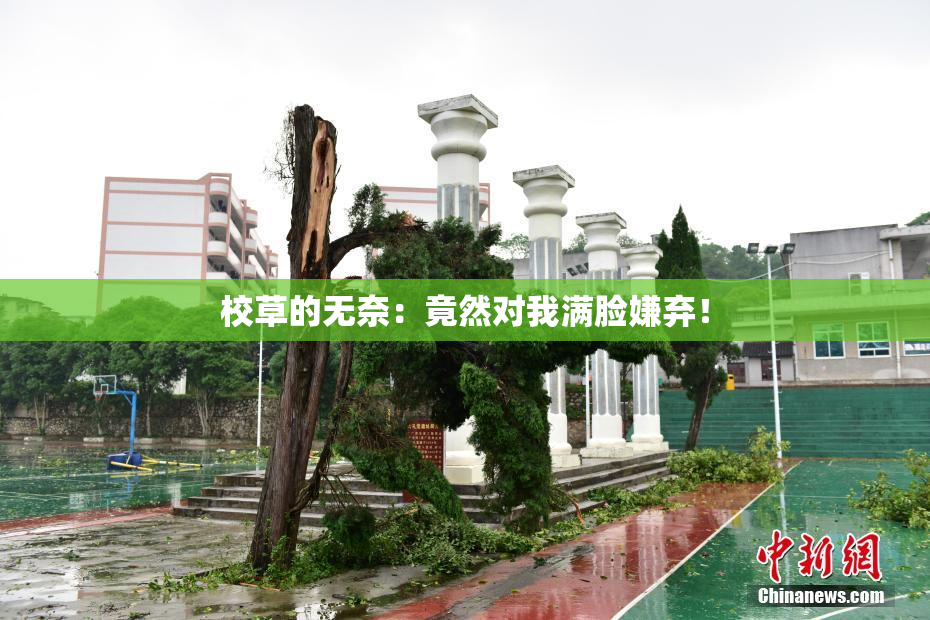 校草的无奈：竟然对我满脸嫌弃！