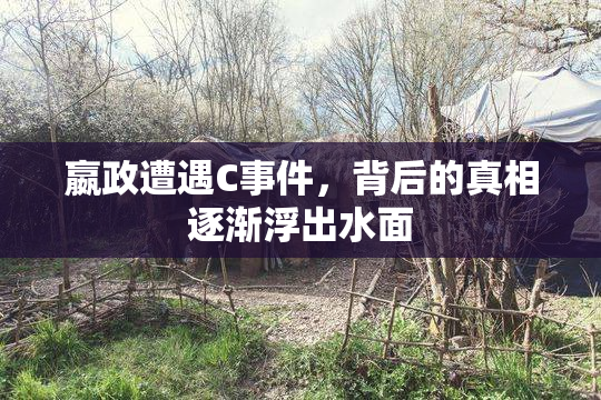 嬴政遭遇C事件，背后的真相逐渐浮出水面