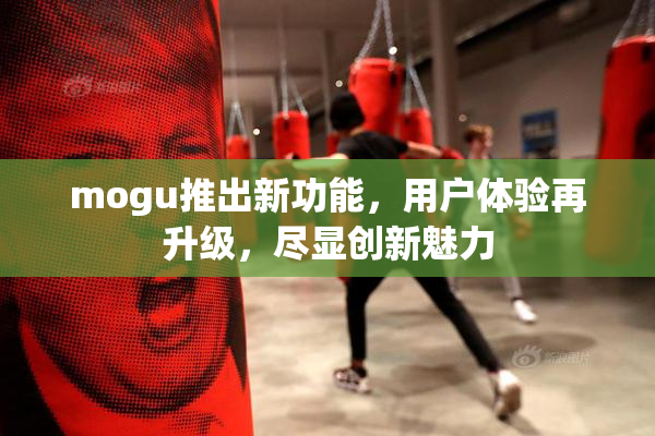 mogu推出新功能，用户体验再升级，尽显创新魅力
