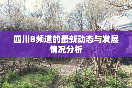 四川B频道的最新动态与发展情况分析