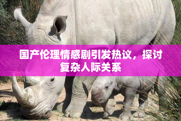 国产伦理情感剧引发热议，探讨复杂人际关系