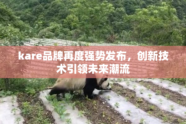 kare品牌再度强势发布，创新技术引领未来潮流
