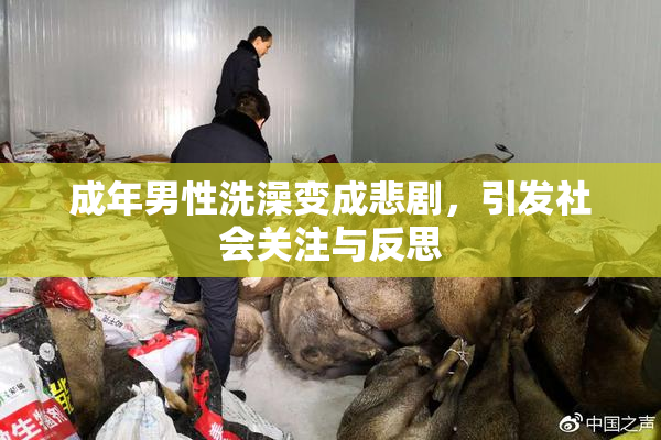 成年男性洗澡变成悲剧，引发社会关注与反思