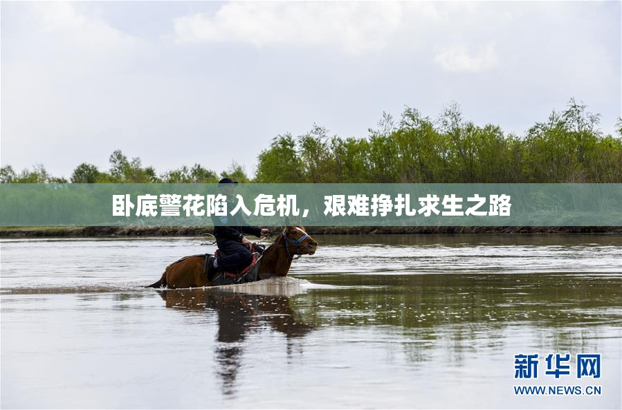 卧底警花陷入危机，艰难挣扎求生之路