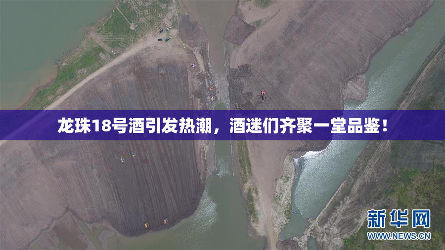 龙珠18号酒引发热潮，酒迷们齐聚一堂品鉴！