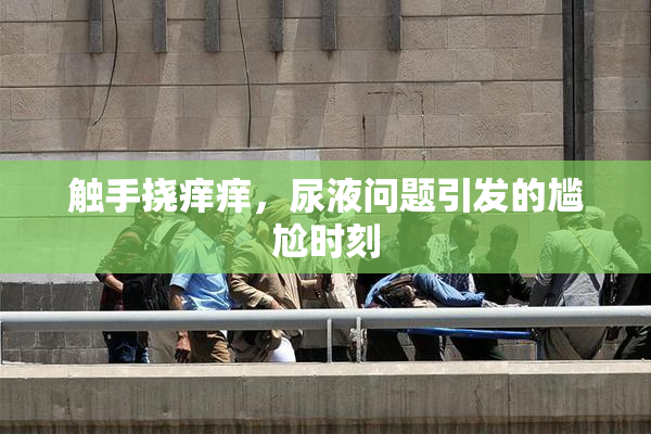 触手挠痒痒，尿液问题引发的尴尬时刻
