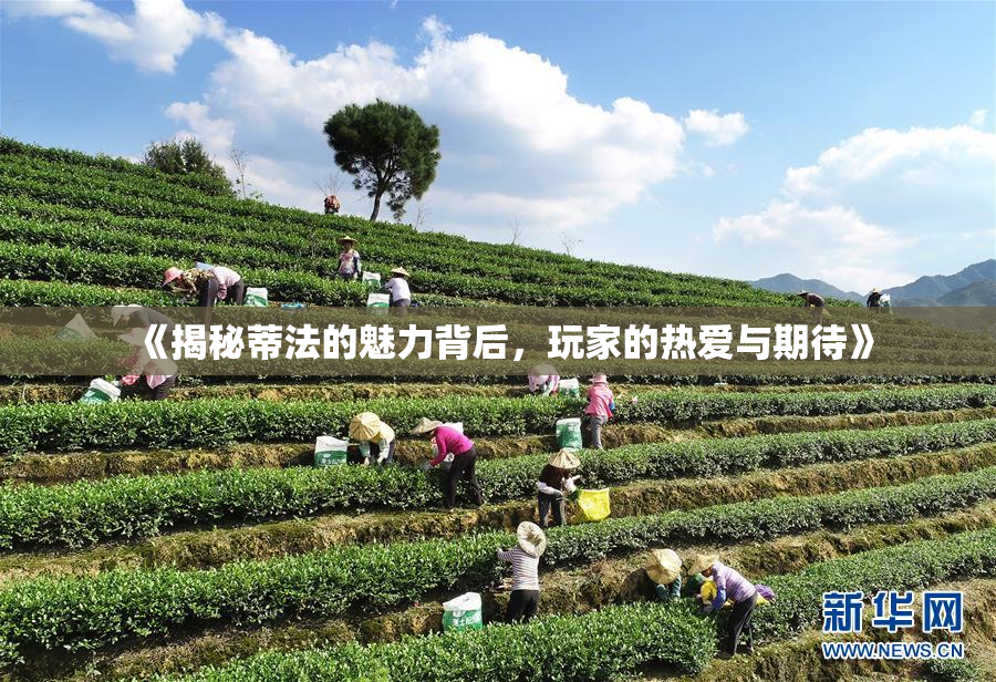 《揭秘蒂法的魅力背后，玩家的热爱与期待》
