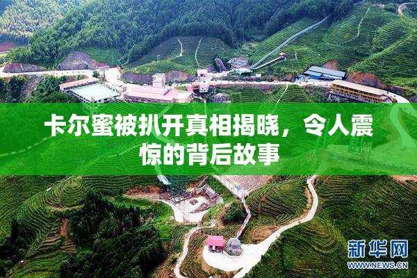 卡尔蜜被扒开真相揭晓，令人震惊的背后故事