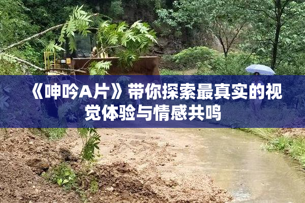 《呻吟A片》带你探索最真实的视觉体验与情感共鸣