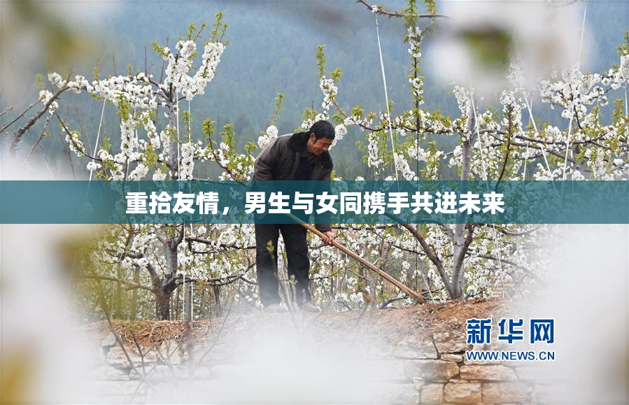 重拾友情，男生与女同携手共进未来