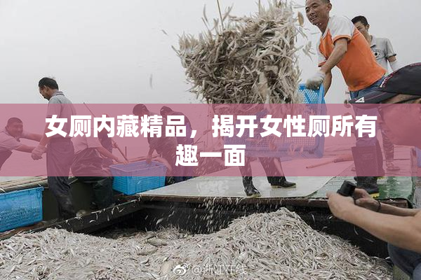 女厕内藏精品，揭开女性厕所有趣一面