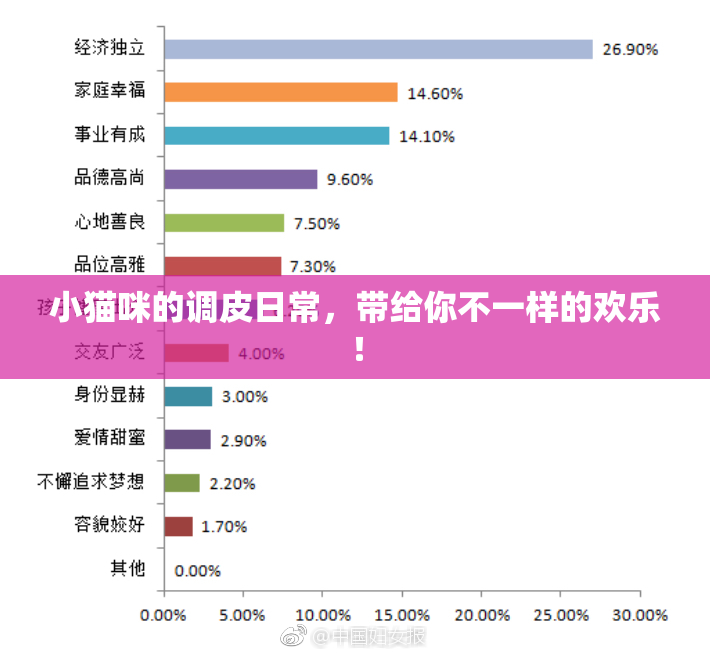 小猫咪的调皮日常，带给你不一样的欢乐！