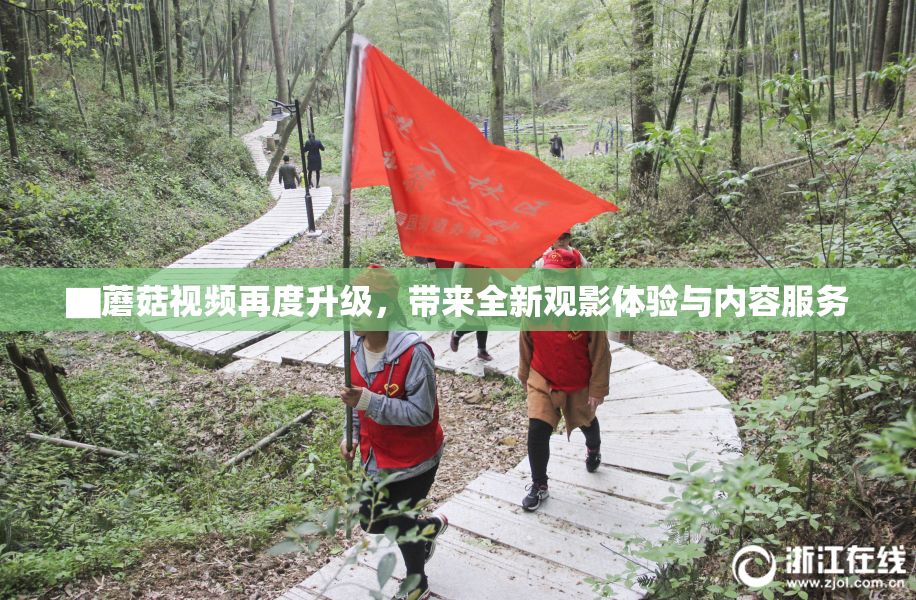 ▇蘑菇视频再度升级，带来全新观影体验与内容服务