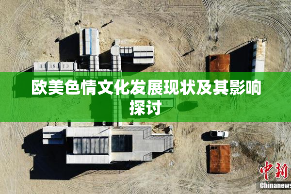欧美色情文化发展现状及其影响探讨