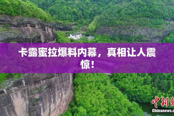 卡露蜜拉爆料内幕，真相让人震惊！