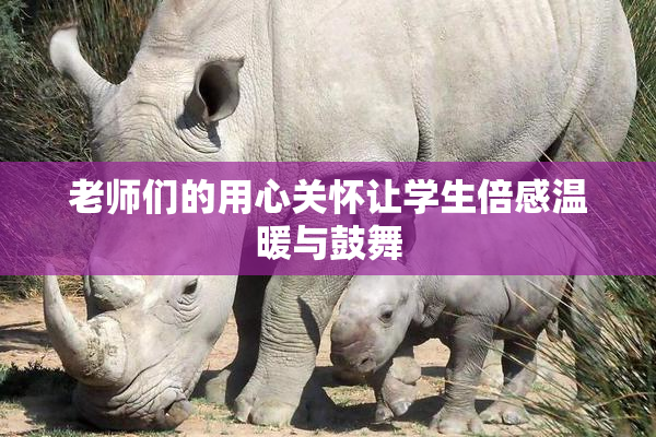 老师们的用心关怀让学生倍感温暖与鼓舞