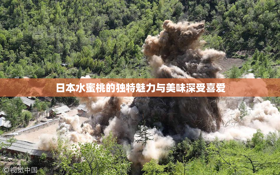 日本水蜜桃的独特魅力与美味深受喜爱