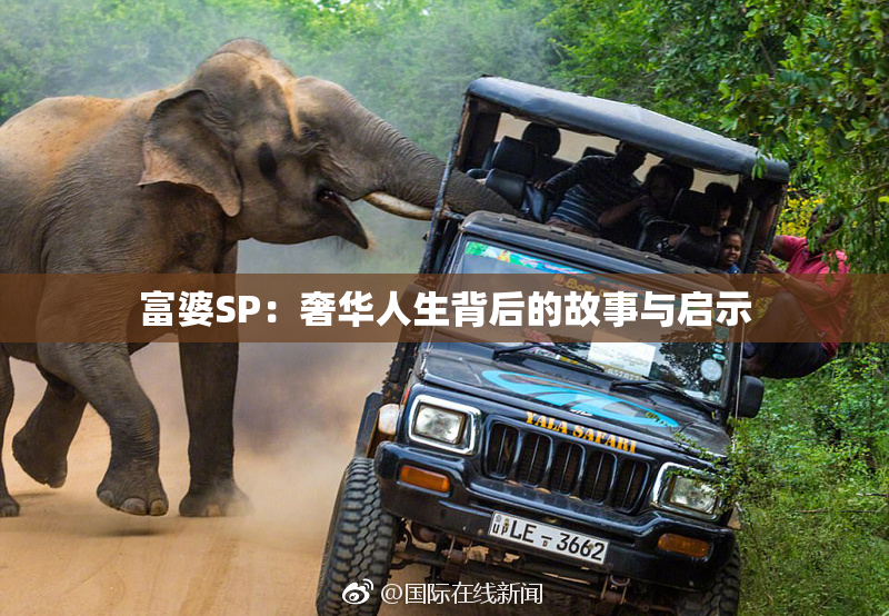 富婆SP：奢华人生背后的故事与启示
