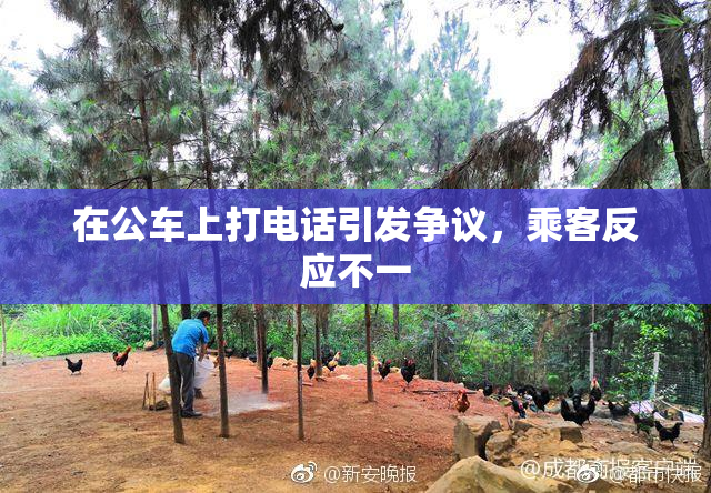 在公车上打电话引发争议，乘客反应不一