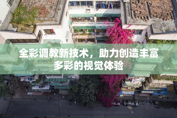 全彩调教新技术，助力创造丰富多彩的视觉体验