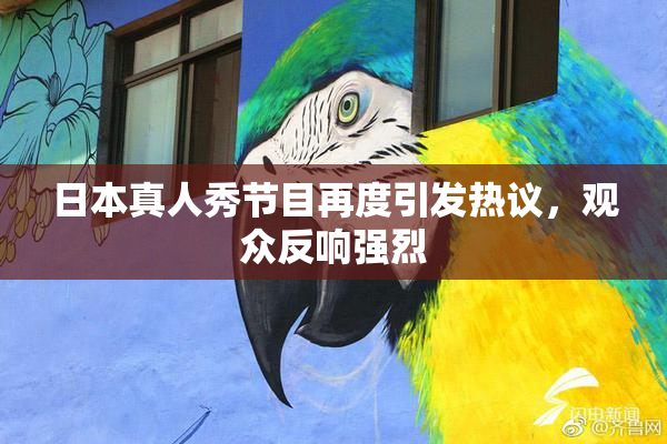 日本真人秀节目再度引发热议，观众反响强烈