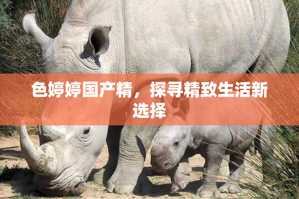 色婷婷国产精，探寻精致生活新选择