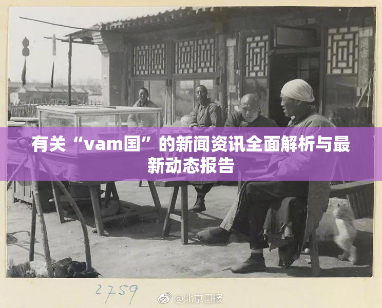 有关“vam国”的新闻资讯全面解析与最新动态报告