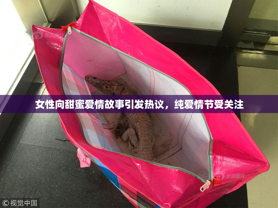 女性向甜蜜爱情故事引发热议，纯爱情节受关注