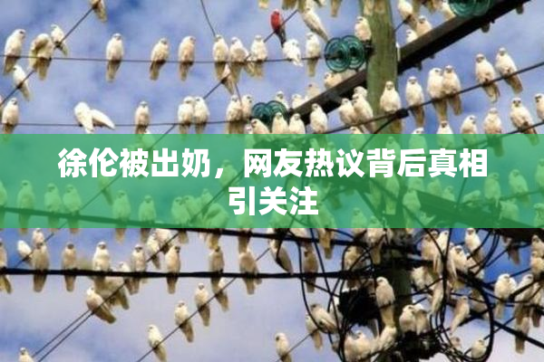 徐伦被出奶，网友热议背后真相引关注
