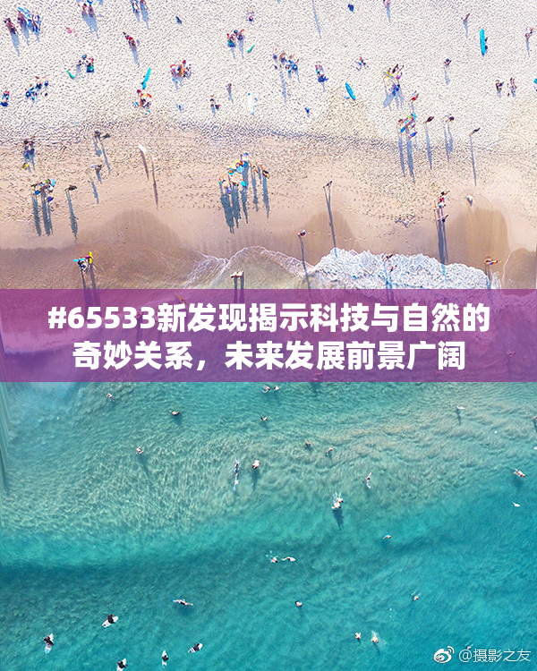 #65533新发现揭示科技与自然的奇妙关系，未来发展前景广阔
