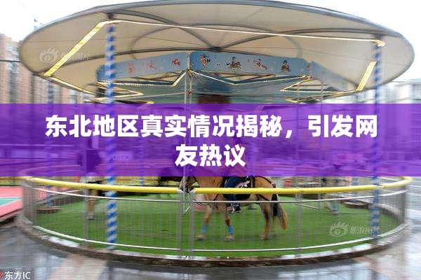 东北地区真实情况揭秘，引发网友热议
