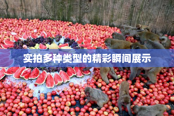 实拍多种类型的精彩瞬间展示