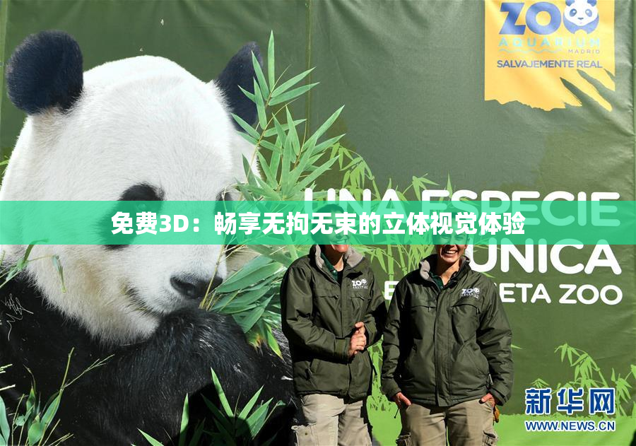 免费3D：畅享无拘无束的立体视觉体验