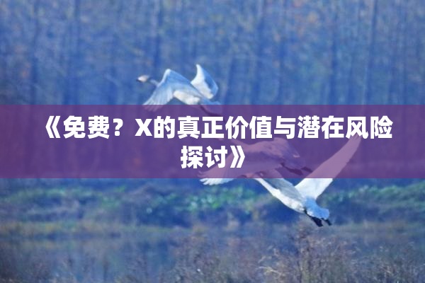《免费？X的真正价值与潜在风险探讨》