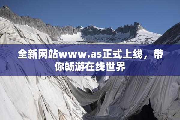 全新网站www.as正式上线，带你畅游在线世界