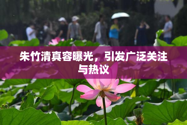 朱竹清真容曝光，引发广泛关注与热议