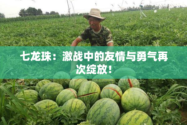 七龙珠：激战中的友情与勇气再次绽放！