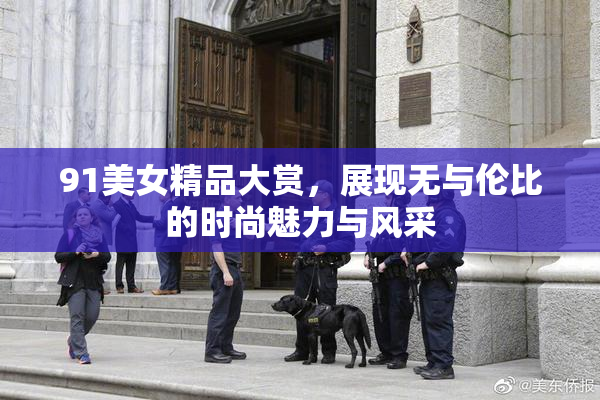 91美女精品大赏，展现无与伦比的时尚魅力与风采