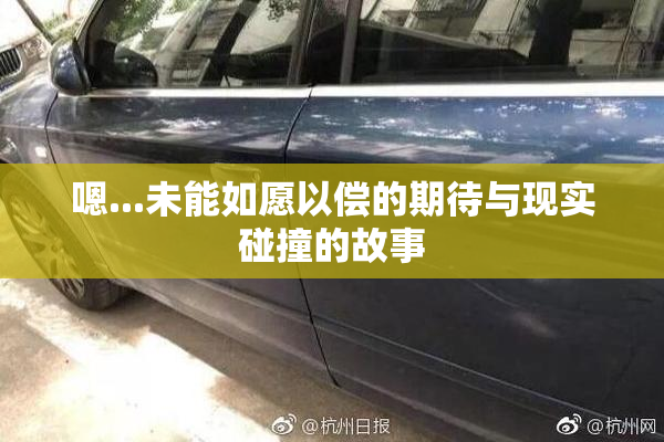 嗯...未能如愿以偿的期待与现实碰撞的故事