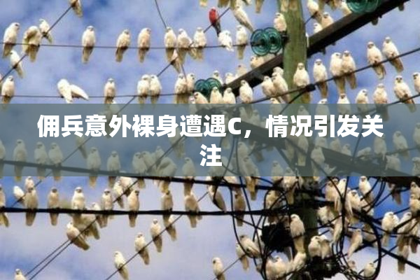 佣兵意外裸身遭遇C，情况引发关注