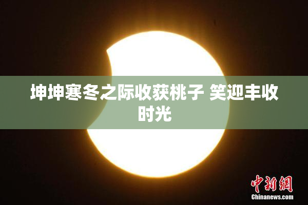坤坤寒冬之际收获桃子 笑迎丰收时光
