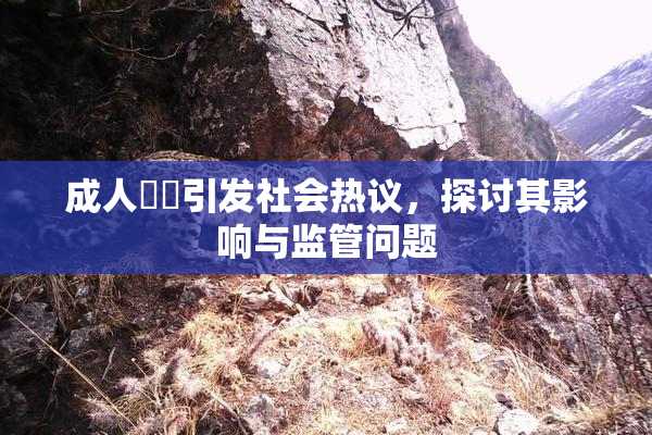 成人視頻引发社会热议，探讨其影响与监管问题