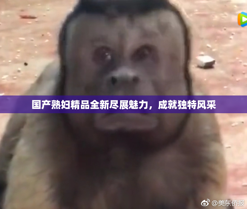 国产熟妇精品全新尽展魅力，成就独特风采