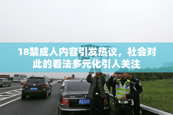 18禁成人内容引发热议，社会对此的看法多元化引人关注