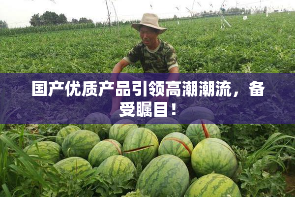 国产优质产品引领高潮潮流，备受瞩目！